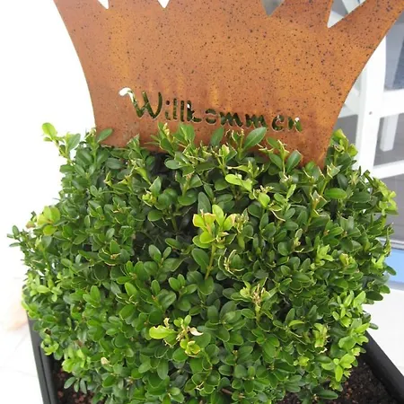 Appartement Willkommen Zuhause! Welcome Home! *